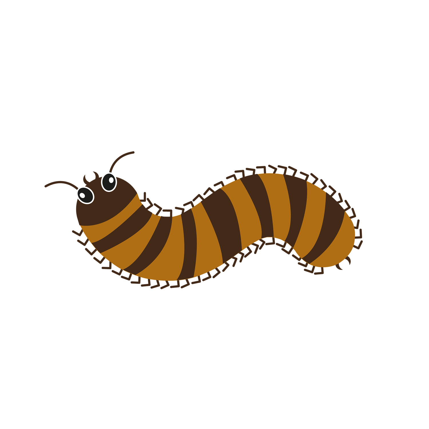 http://Centipedes