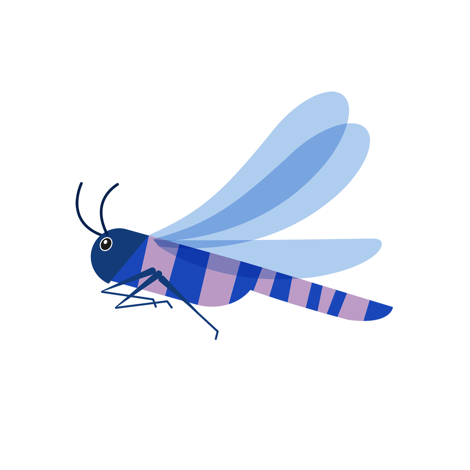 http://Dragonflies