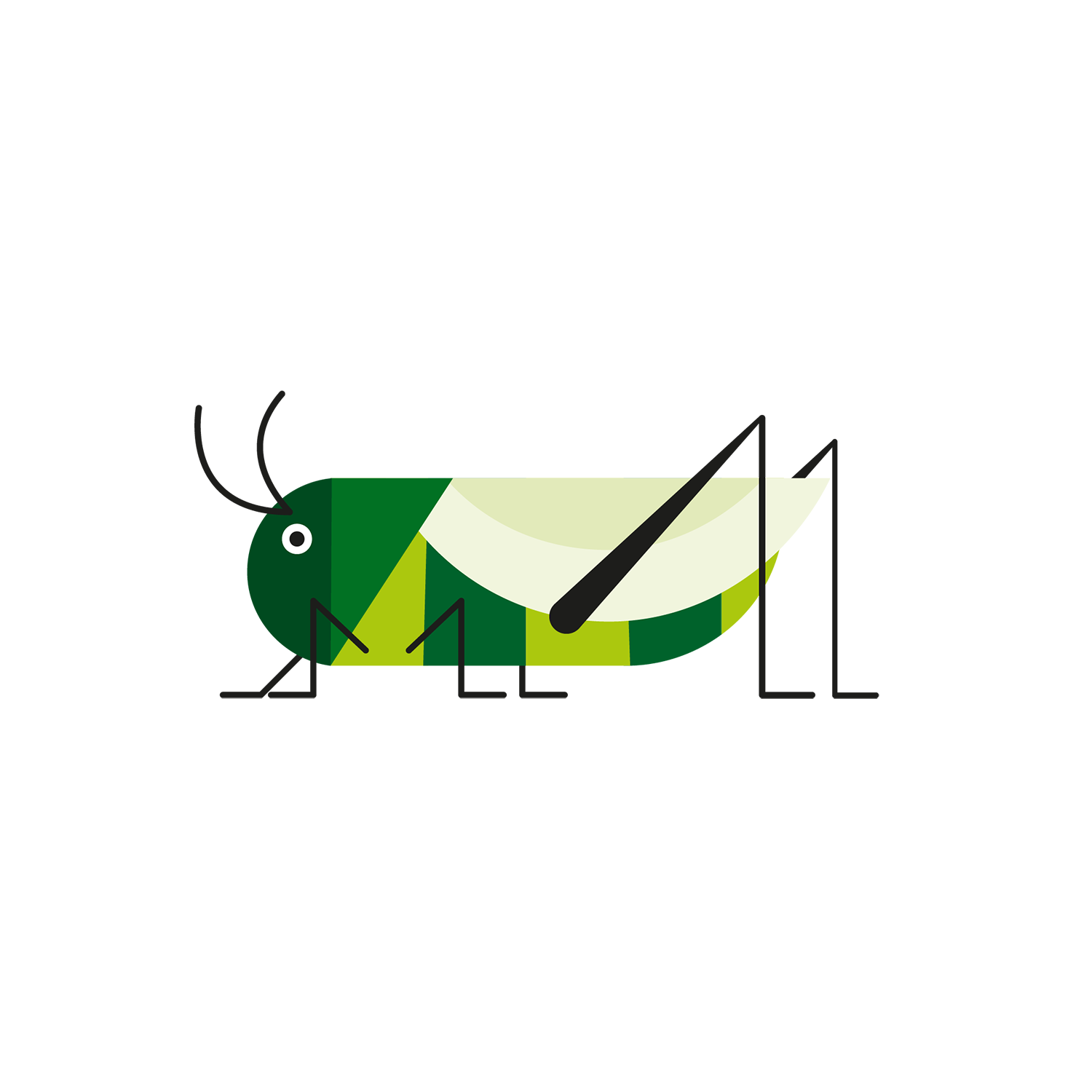 http://Grasshoppers