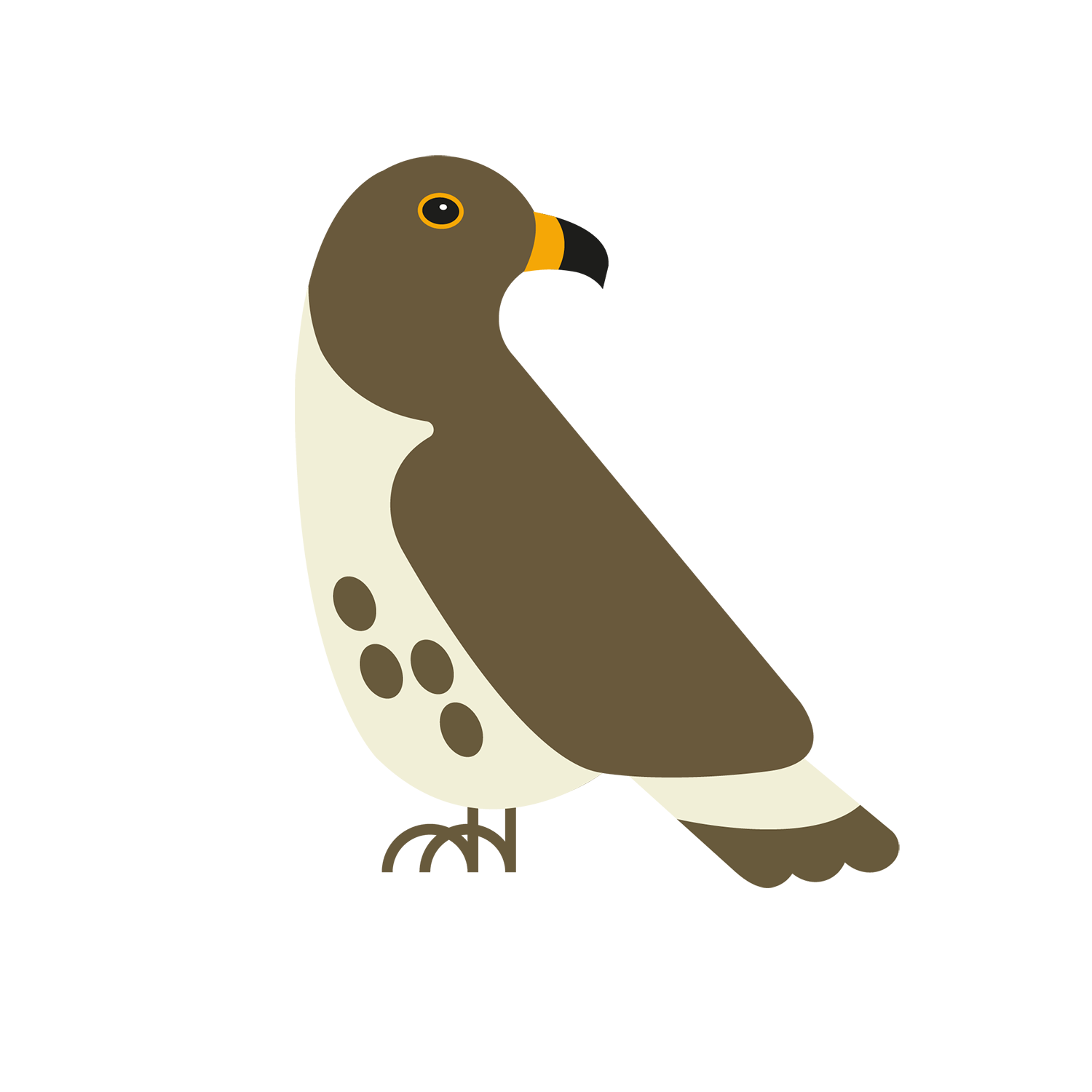 http://Hawks